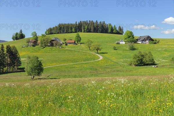 Black Forest houses near Breitnau