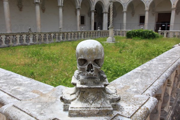 Skull in the monks' cemetery