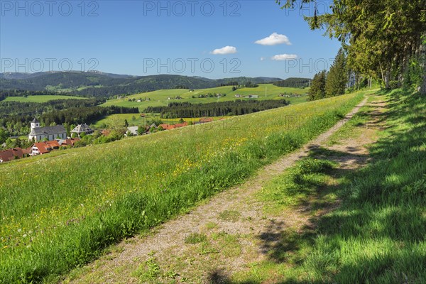 View over Breitnau to the Feldberg in spring