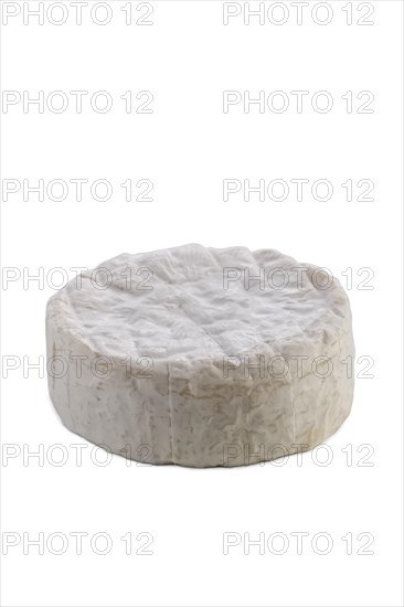 Camembert cheese isolated on white background