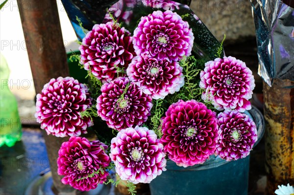 Beautiful bouquet of Dahlia flowers on street flower vendor