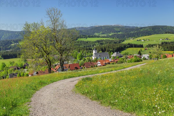 View over Breitnau to the Feldberg in spring