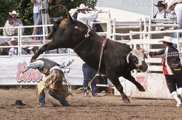 Cowboy thrown while bull riding