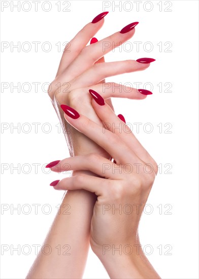 Bright festive red manicure on female hands. Nails design