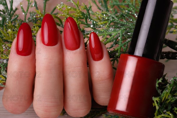 Bright festive red manicure on female hands. Nails design