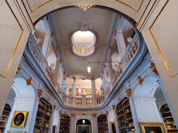 Duchess Anna Amalia Library