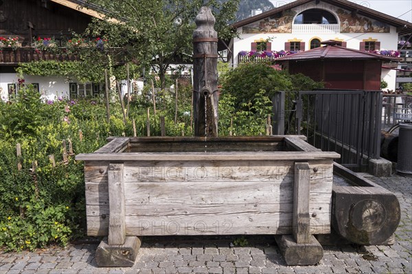 House with farm garden and well