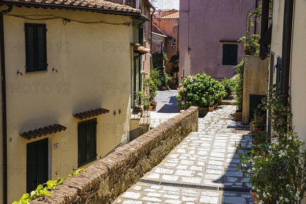 Narrow alley with pastel-coloured house facades