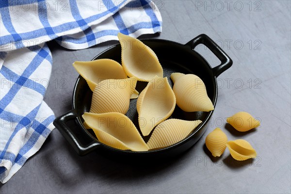 Conchiglione in pots