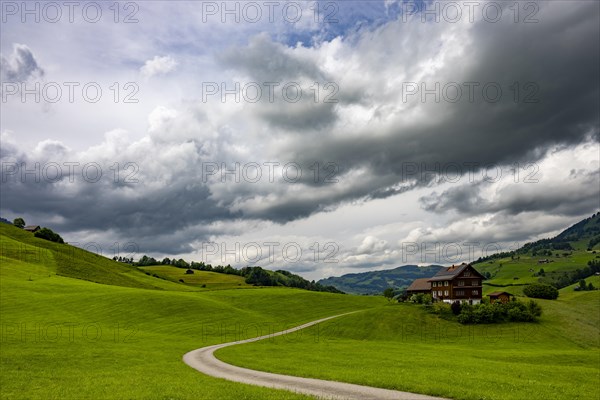 Farms in hilly landscape