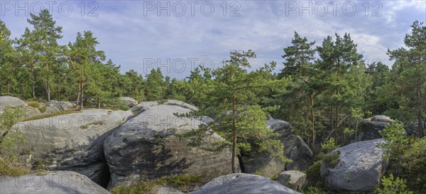 Sandstone rocks of