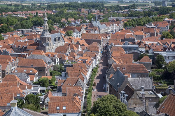 Town view with historic town hall