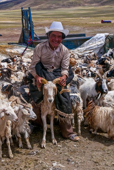 Tibetan shepards shaving sheeps along the road from Tsochen to Lhasa