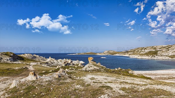 Fjord landscape in summer