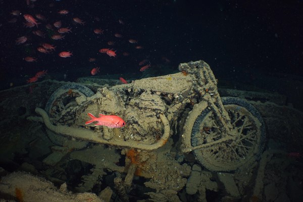 World War II motorbike in the hold of the Thistlegorm. Dive site Wreck of the Thistegorm