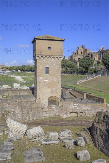 View of the Circus Maximus with Torre di Moletta