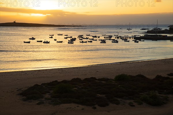 Little fishing boats in the small harbour of Sal Rei at sunset on the island Boa Vista