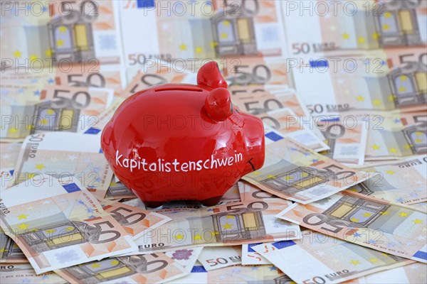 Piggy bank with the inscription Capitalist Pig and 50 euro banknotes