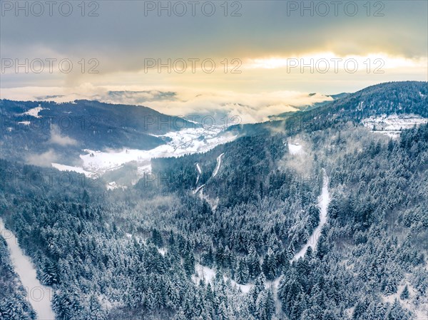 Forest and mountains in the snow at sunset in fog