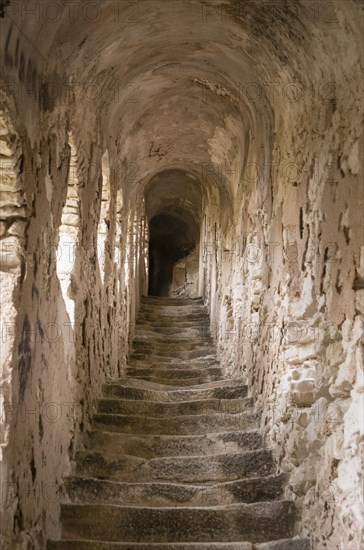 View from below the staircase of the King of Aragon