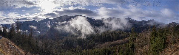 Morning fog at Grosser Zellerhut