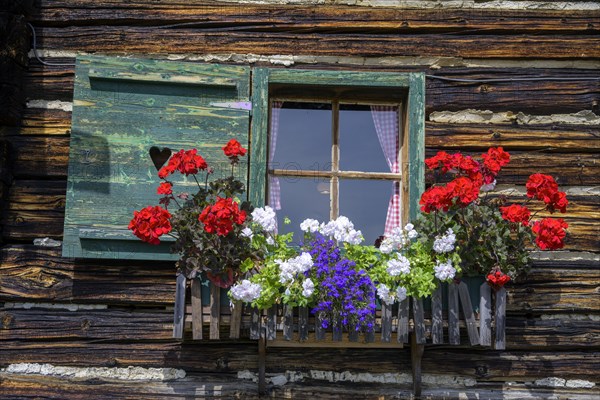 Flower window at the Priesshuette on the Nockalm Road