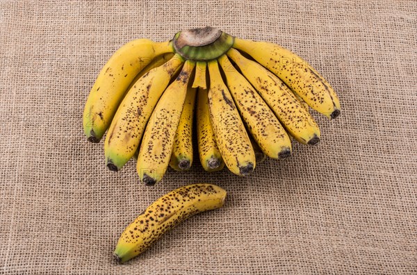 Bunch of yellow freckled bananas on a canvas texture