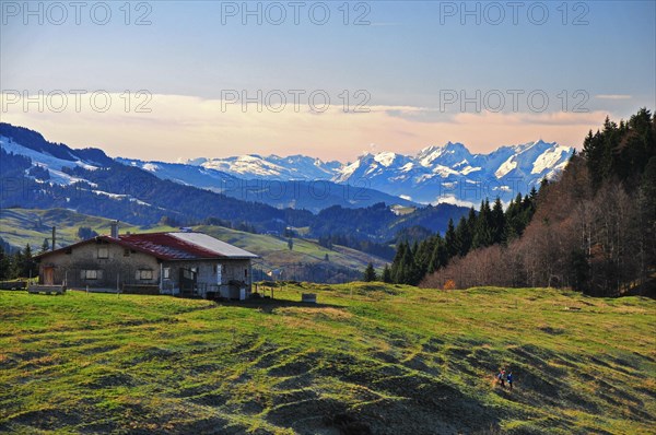 Alpe Neuschwand between Immenstadt and Oberstaufen