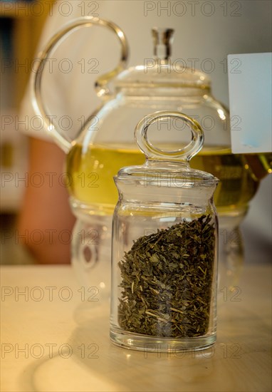 Herbal tea brewed in glass teapot and tea plant in a bottle