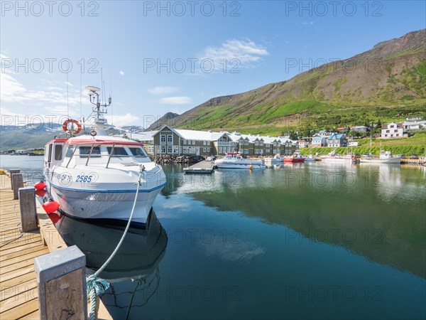 Boats in the harbour