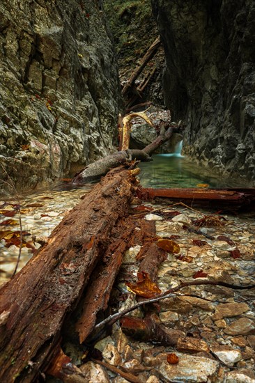 Beautiful gorge with water and trees in the water in the Slovak Paradise National Park. Slovakia