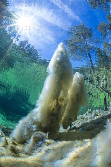 Underwater photo of the spring pool