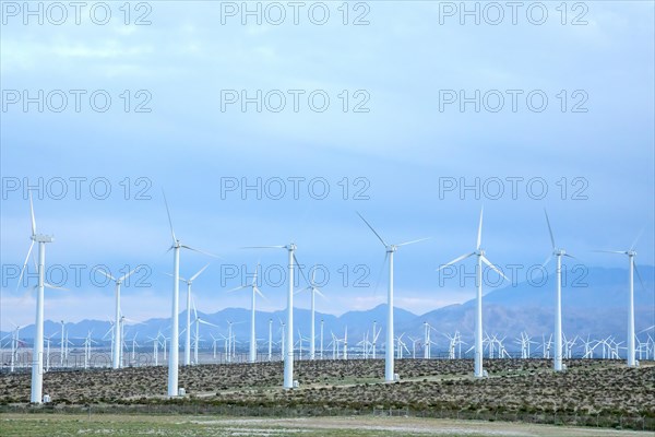 Windmilla producing renewable energy in California