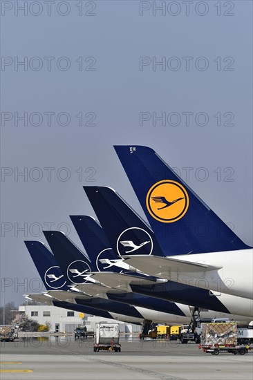 Lufthansa aircraft parked on position at satellite