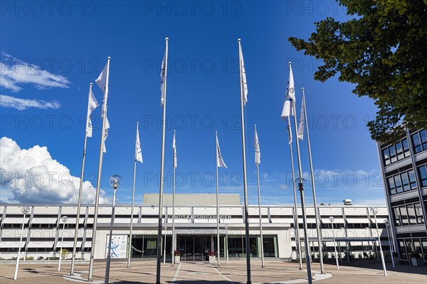 Flags for the anniversary of autonomy, Parliament building, Mariehamn, Aland, Aland Islands, Finland, Europe