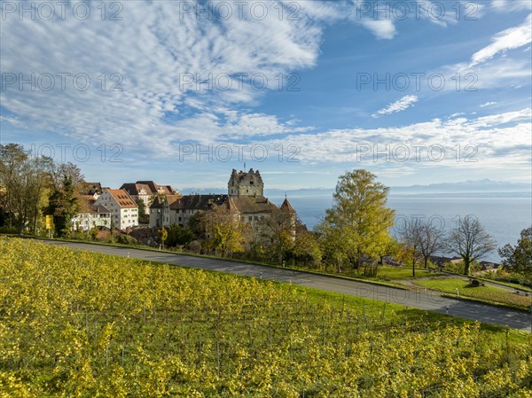 View over vineyard to the historic and inhabited Meersburg Castle, Lake Constance district, Baden-Wuerttemberg, Germany, Europe