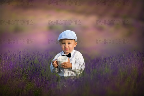 Beautiful little boy on a sunny day in a lavender field. Poland