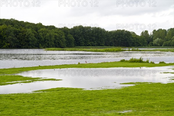 Water landscape