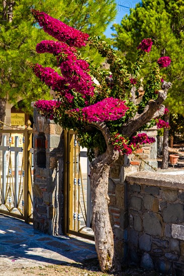 Entrance to the Moni Thari Monastery near Laerma from the 12th century