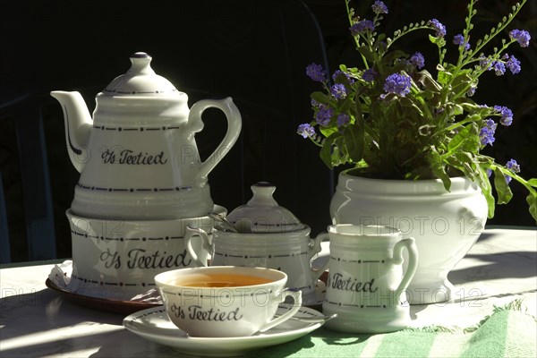 Teapot Cup Sugar Milk Vase with Flowers