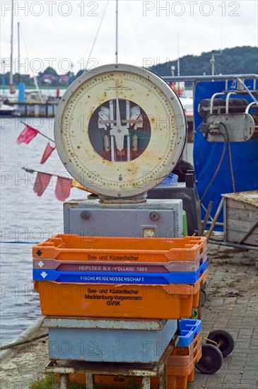 Scales for fish at the harbour of Thiessow