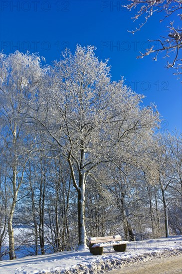 Winter atmosphere in the district of Ammerland