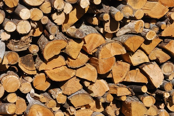A dry firewood stack