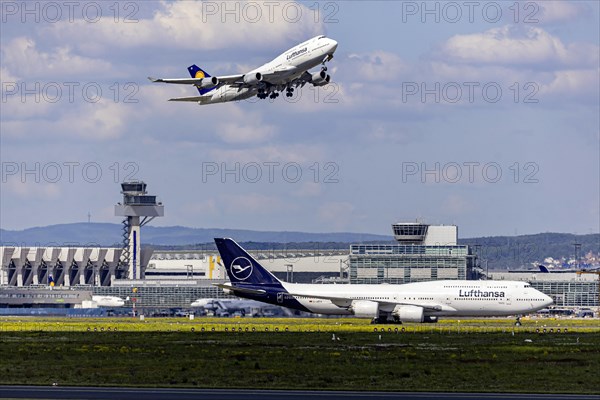 Boeing 747-400 of the airline Lufthansa during take-off at Fraport Airport