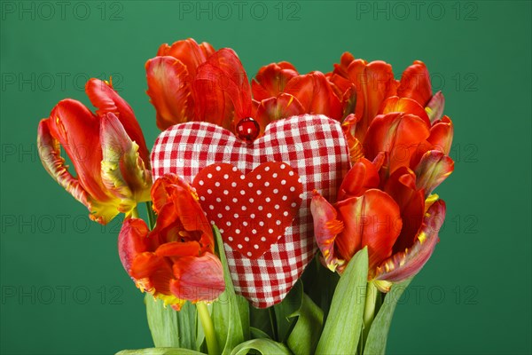 Tulip Bouquet and Fabric Heart