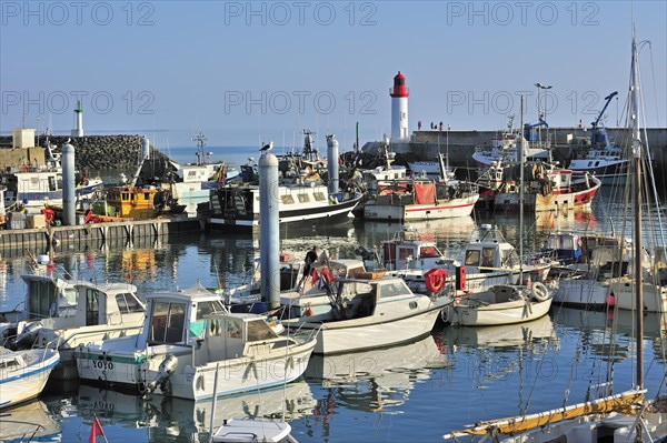 Fishing boats in the harbour at La Cotiniere on the island Ile dOleron