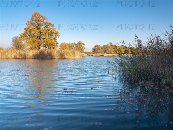 Autumn at Lake Kuehnau