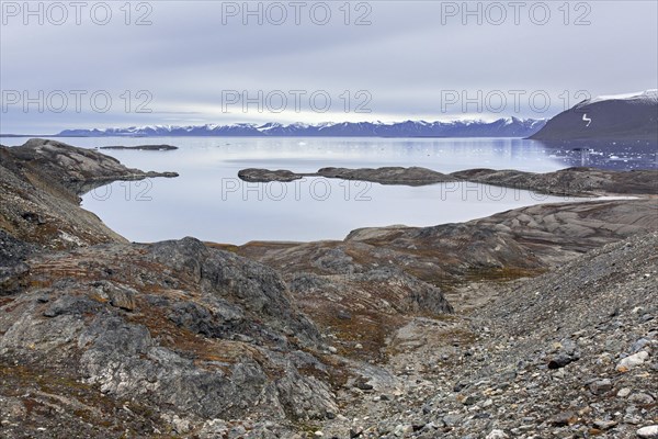 View over Hornbaekpollen