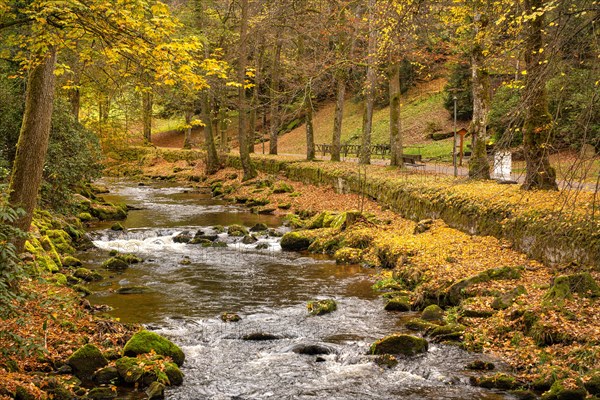 Course of the river Enz in the spa gardens during autumn