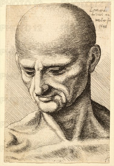 Head of a Bald